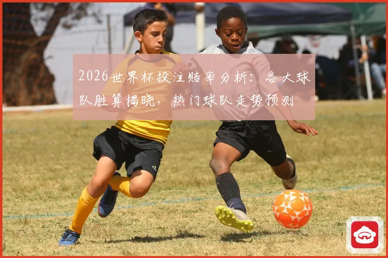 2026世界杯投注赔率分析：各大球队胜算揭晓，热门球队走势预测