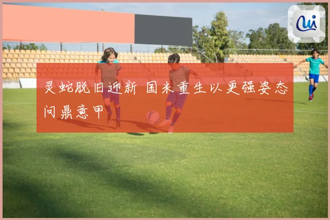 灵蛇脱旧迎新 国米重生以更强姿态问鼎意甲