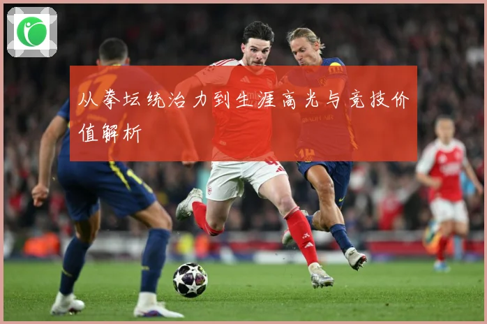 从拳坛统治力到生涯高光与竞技价值解析